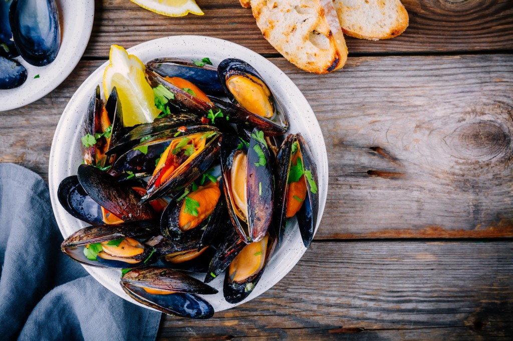 Bulk Buy Scottish Mussels (Rope Grown) Wholesale KFF